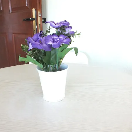 Seni̇z Apart Turunç