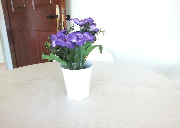 Seni̇z Apart Turunç